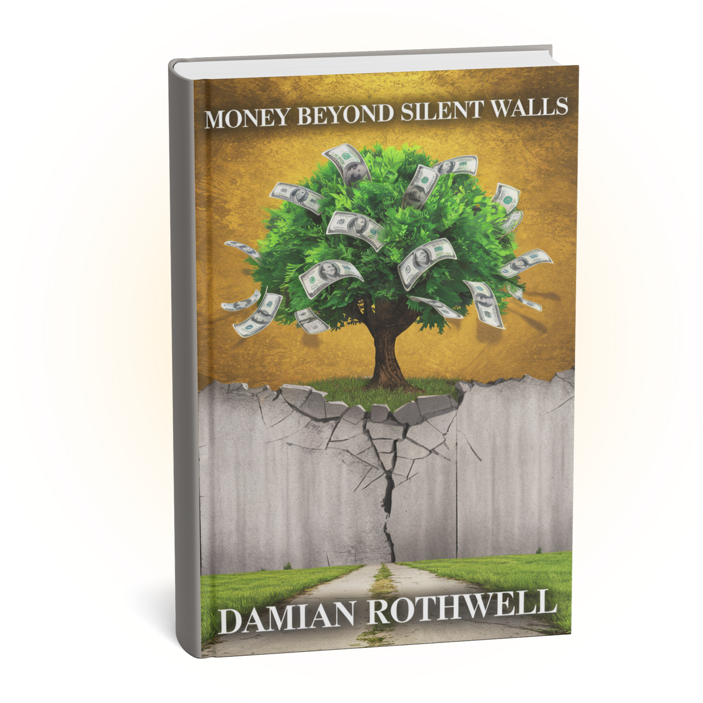 Money Beyond Silent Walls eBook